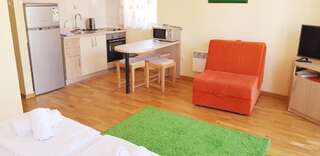 Гостевой дом Olimp Lux Будва Номер-студио Делюкс с кроватью размера "king-size"-21